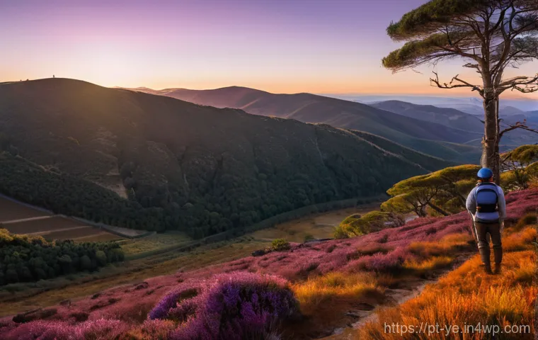 비인간 생명체와의 공존을 위한 혁신적 접근법 - **Prompt:** "A panoramic shot of a serene, rolling Portuguese landscape, reminiscent of the Serra da...