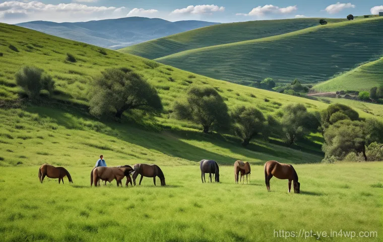 비인간 생명체와의 관계 재설정의 포괄적 이해 - **Prompt:** A breathtaking, hyper-realistic wildlife photograph of a majestic Iberian wolf (lobo-ibé...